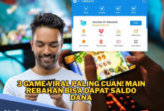 3 Game Viral Paling Cuan, Kumpulkan Saldo DANA Sampai Ratusan Ribu per Hari!