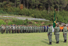 Garda Terdepan Pengamanan Hutan, Ini Tugas Penting Polhut dan Besaran Gajinya 