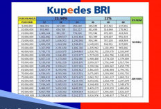 Cek Tabel Kupedes BRI 2026 Rp 80 Juta, Ada Bonus Uang Tunai jika Disiplin Bayar Cicilan