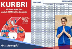Pinjaman Pemerintah Tanpa Agunan, Tabel Angsuran KUR BRI Desember 2025 Khusus Pinjaman Rp 40 Juta