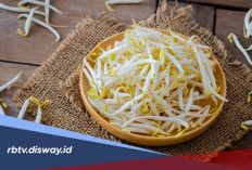 Cara Menyimpan Tauge agar Tetap Segar Tanpa Kulkas, Tahan Berhari-hari 