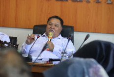 Pemkab Bengkulu Selatan Anggarkan Rp 3,8 M untuk Mobil Dinas Wabup dan 11 Camat