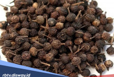 9 Manfaat Kemukus untuk Kesehatan Tubuh, Ini Daftar Khasiatnya