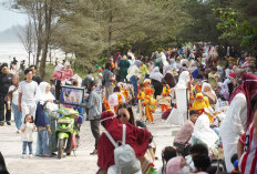 Festival Pantai Panjang Semarak Pesisir Bengkulu, Ribuan Warga Padati Kawasan Pantai