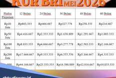 Cara Praktis Ajukan Pinjaman KUR BRI Mei 2026 Tanpa ke Bank 