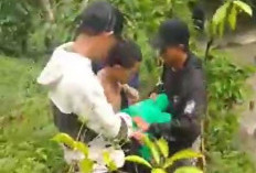 Hilang 2 Hari di Dalam Hutan saat Berburu, Remaja Kepahiang Ditemukan Selamat