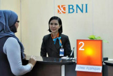 Cara dan Syarat Terbaru Pinjaman BNI Fleksi, untuk PNS dan Karyawan, Angsuran Pasti Ringan