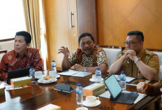 Pemprov Bengkulu Tuntut Ilmu Soal PAD Sektor Perkebunan Sawit ke Riau