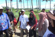 Wakil Ketua DPRD Provinsi 'Diculik' Putri Sungai Lemau, lalu Dibawa ke Bibir Pantai