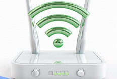 Bingung Wifi di Rumah sering Lemot, Ternyata Ini Penyebab dan Cara Mengatasinya