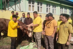 Ketua DPD Sultan dan Menteri ESDM Kanda Bahlil juga Berkurban di Bengkulu 