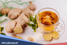 13 Manfaat Jahe untuk Kesehatan, Mulai Mengatasi Mual sampai Menurunkan Berat Badan