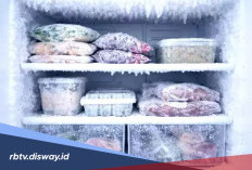Jangan Asal Masuk Freezer! Ini Cara Tepat Bekukan Daging agar Nutrisinya Utuh