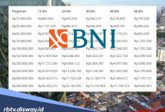 Catat Tips Pengajuan Pinjaman KUR BNI 2026 Plafon Rp 50-100 Juta Cepat Disetujui