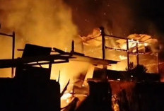 Kebakaran Hebat, 4 Unit Rumah di Rejang Lebong Ludes Terbakar