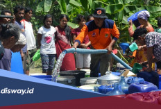 Data BPBD Ada 24 Daerah Berstatus Darurat Kekeringan Akibat Musim Kemarau 2026