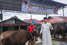 Momentum Hari Raya Idul Adha, Bupati Kepahiang Ajak Masyarakat Evaluasi dan Refleksi Diri