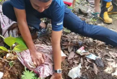 Tim Rescue Damkar Evakuasi Pelajar Tercebur Sumur di Kota Bengkulu, Diduga Ini Penyebabnya