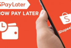 Jangan Langsung Panik, Begini Cara Menghadapi DC Lapangan Shopee jika Datang ke Rumah