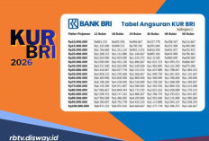 Tabel KUR BRI Februari 2026 Pinjaman Rp 20 Juta Tanpa Agunan