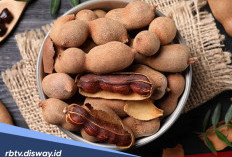 Asam dan Segar, Berikut 10 Manfaat Asam Jawa untuk Kesehatan