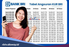 Terbaru, Begini Cara Mudah Mendapatkan Pinjaman KUR BRI, Cukup Menggunakan BRI Mobile