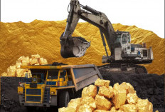 Indonesia Has Many Gold Mines, Not Just Freeport, Here's a List