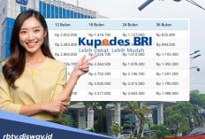 Tabel Pinjaman Kupedes BRI Rp 50 Juta untuk Modal Bertani, Begini Cara Bayarnya saat Musim Panen 