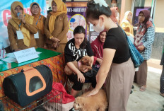 Hari Rabies, Disnakeswan Provinsi Bengkulu Siapkan 4 Ribu Vaksin Gratis