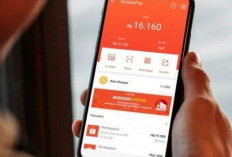 Mau Batalkan Shopee Pinjam? Begini Caranya, Mudah dan Aman