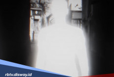 Berangkat dari Kisah Nyata, Lirik Lagu ‘Kota Ini Tak Sama Tanpamu’ Mewakili Banyak Perasaan