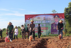 Kapolda Bengkulu Pimpin Tanam Jagung Kuartal IV di Kelurahan Surabaya