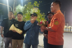 Aksi Solidaritas Jurnalis di Bengkulu, Minta Basarnas Perpanjang Pencarian 5 Jurnalis yang Hilang