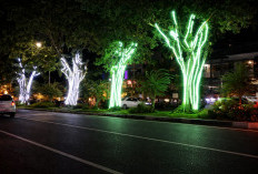 Percantik Wajah Kota, Pemkot Pasang 35 Unit Lampu Hias di Jalan Jenderal Sudirman  ?