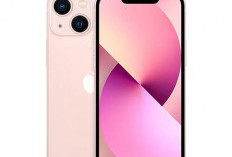 Apakah Kamu Tertarik dengan iPhone 13 Mini? Begini Spesifikasi dan Harga Terbarunya Januari 2026    