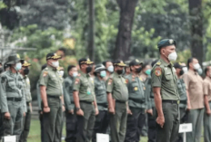 Selain Polhut, Ini Formasi yang Diserbu Pelamar CPNS di KLHK