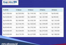 Suku Bunga Pinjaman dan Simulasi Tabel Angsuran Kupedes BRI 2026 Pinjaman Rp 25 Juta