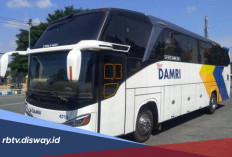 Damri Buka Lowongan Kerja Khusus buat Lulusan S1, Buruan Daftar!