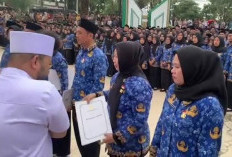 SK 47 Orang Tenaga PPPK Paruh Waktu di Pemprov Bengkulu Tidak Diperpanjang, Ini Alasannya 