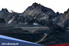 Potensi Harta Karun Emas di Papua Pegunungan 