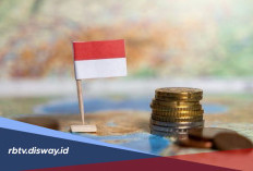 Daftar Pertanyaan Sensus Ekonomi 2026, Pastikan Anda Menjawab dengan Benar
