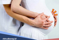 3 Alasan Dibalik Mitos Larangan Membunuh Hewan Saat Istri Hamil