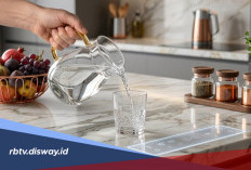 Minuman Sehat untuk Asam Lambung yang Bikin Perut Lebih Nyaman