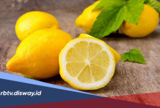 Benarkah Mengoleskan Perasan Lemon ke Kulit untuk Atasi Jerawat Bisa Berbahaya? Ini Penjelasannya 