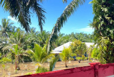 Dinas Pendidikan Kota Bengkulu Data Sekolah Terdampak Banjir, Terparah SD Negeri 89 Korpri Bentiring