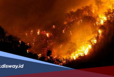 202.004,30 Hektare Lahan Terbakar: Update Karhutla Indonesia Tahun 2026