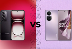 Hp Oppo Reno 12 Pro 5G vs Oppo Reno 11 5G, Begini Perbandingannya   