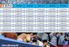 ASN Mau Pinjam Bank? Cek Syarat dan Angsuran Pinjaman BNI Fleksi Berikut