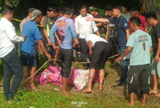 Heboh, Sesosok Mayat Laki-laki Mengapung di Muara Cuming Pasar Seluma 