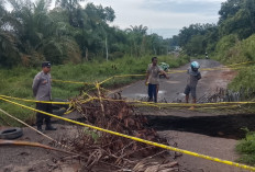 Hujan Deras, Akses Jalan Bunga Mas Pasar Sembayat Seluma Timur Terputus
